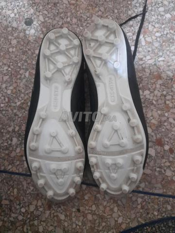 جوداس كيبستا رقم 41 - 2