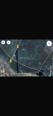 أرض 4 هكتار قريبة من الطريق – فرصة - 2