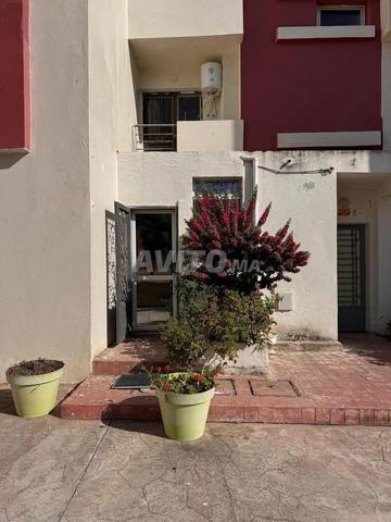 طريق الرباط - ضحى هوارة - 2