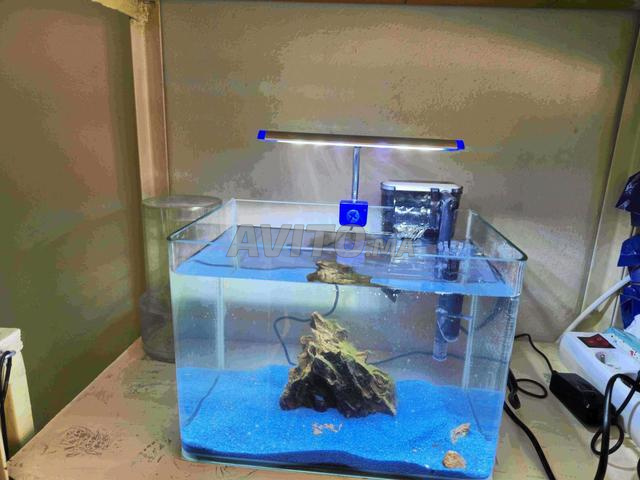 Filtre cascade aquarium - 2