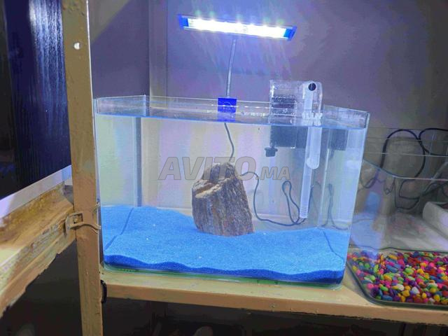 Aquarium filtre cascade - 2