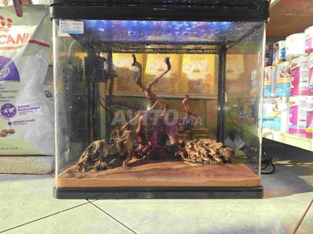 Aquarium C.A.Y Q3-480 - 2