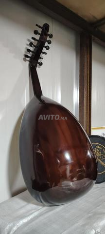 Excellent Oud oriental professionnel accordé, magnifique