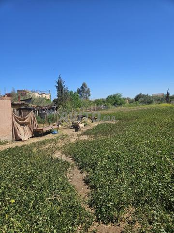 Terrain à vendre - 2