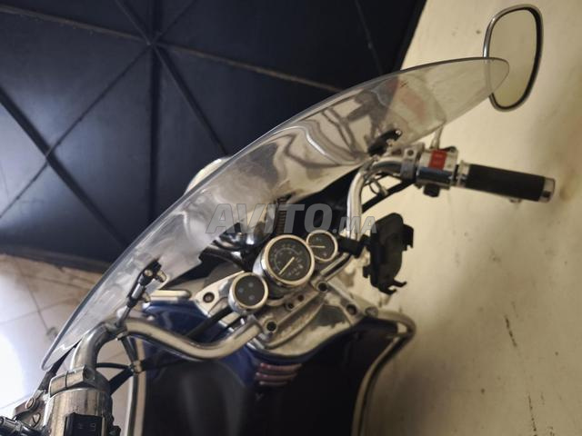 2023 Cimatti Havana Deluxe - 2