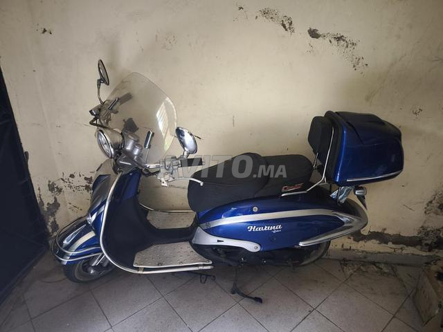 2023 Cimatti Havana Deluxe