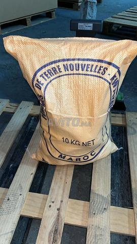 أكياس بطاطس للتصدير تغليف - 2