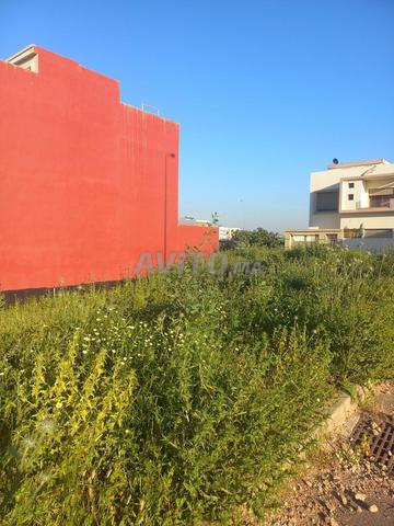 Terrain villa jumelée Bouskoura, 3 min Myriades - 2