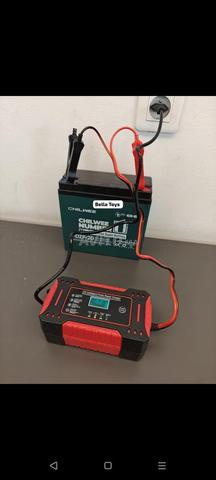 شاحن بطارية ذكي 12 فولت – إصلاح النبضات