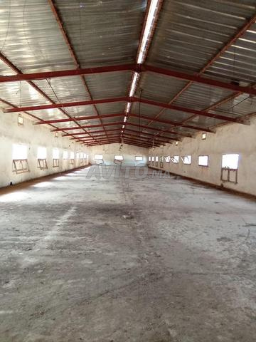 أرض بمساحة 8000 متر مربع مع حظيرة بمساحة 550 متر مربع للإيجار