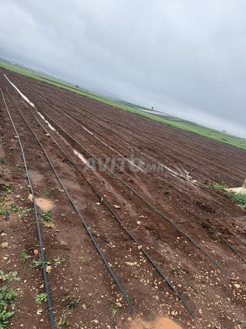 10 هكتارات للبيع - 2