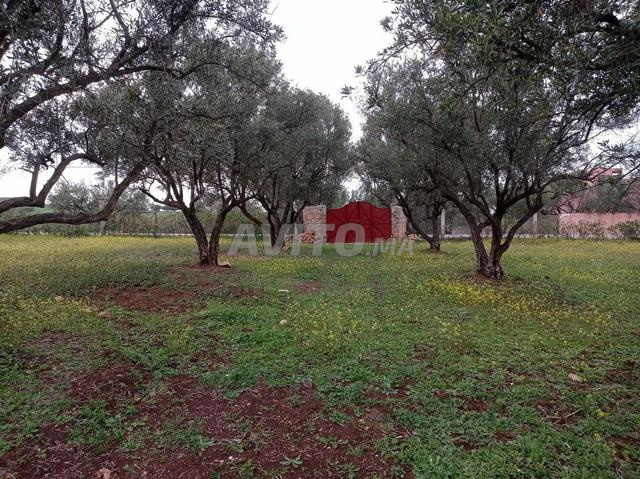 نادر، مزرعة مجهزة ومزروعة 7 هكتار