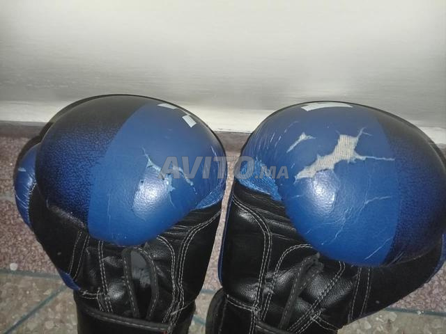 قفازات الملاكمة بوكسينج - 2