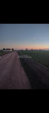 أرض فلاحية 2 هكتار برشيد - 2