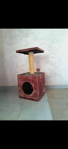 Arbre à chat avec griffoire