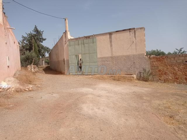 نادر، مزرعة مجهزة ومزروعة 7 هكتار - 2