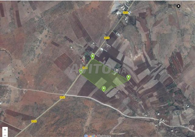 5ha titrés sur la route Immouzer - Bhalil - 2