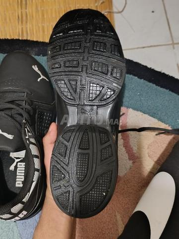 بوما أصلي - 2