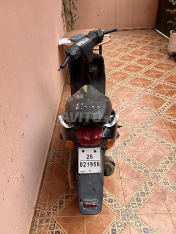 نيوس لفيندي - 2