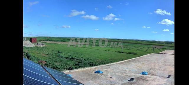 مزرعة 6 هكتارات محفظة - 2