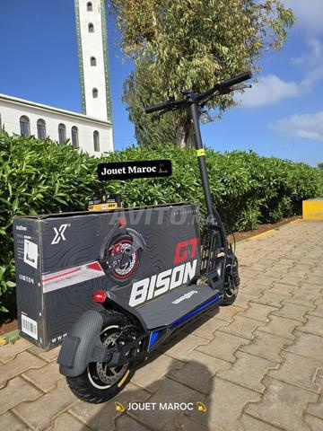 عشاق بيسون، لقد عادت بجميع الألوان - 2