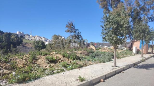 أرض للبيع في بوبانا، طنجة - 2