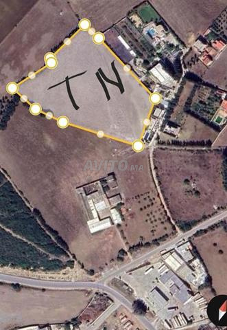 أرض للاستثمار في طنجة - 2