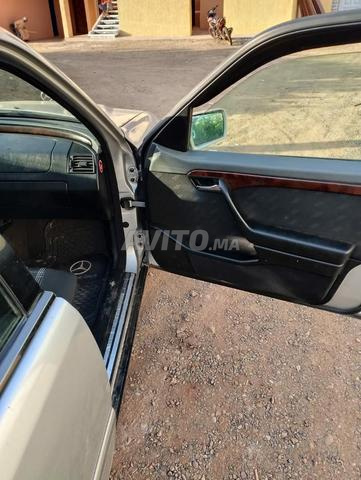 كل شيء أصلي العامرة - 2