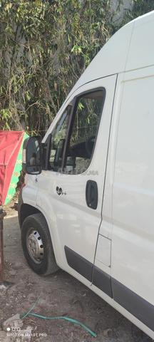 Jumper à vendre mod 2014 - 2