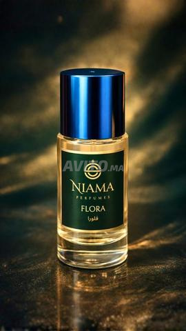 دوار الوطئ جماعة الغديرة بير الجديد - 2