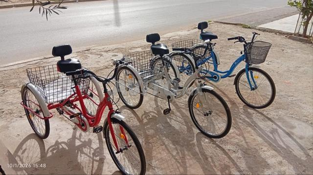 دراجة ثلاثية العجلات - 2