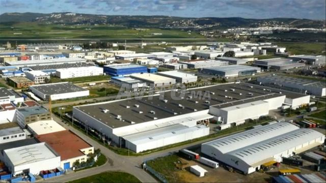 Dépôt à louer zone industrielle tassila - 2