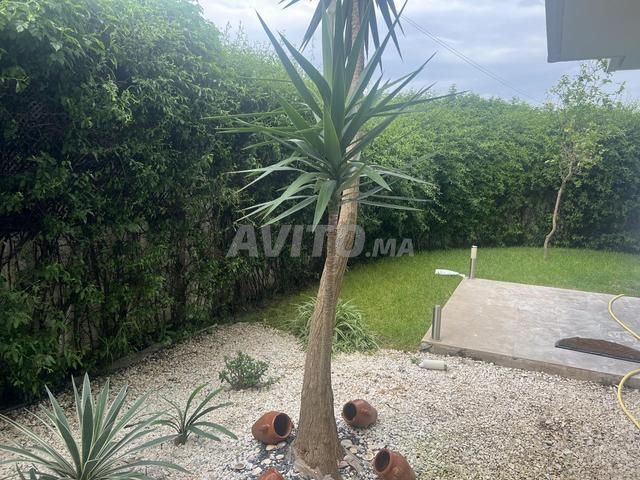 Appartement à louer 116 m² à Rabat