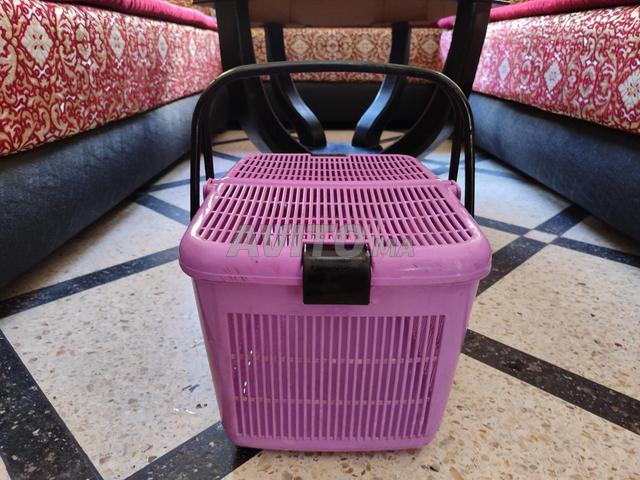 قفص للقطط - 2