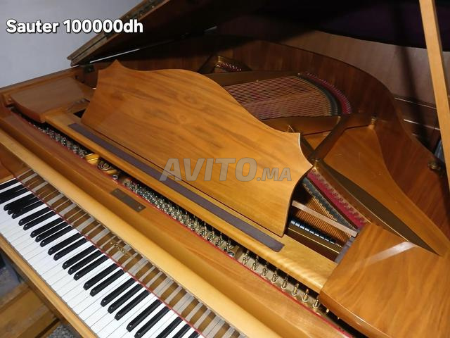 Piano bébé grand C.Sauter - 2