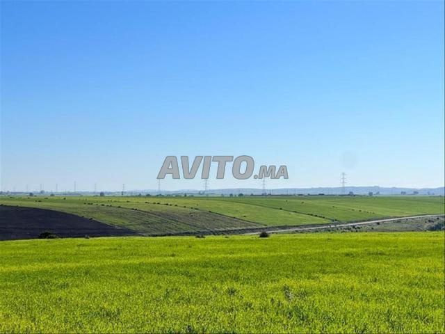 أراضي ومزارع مسجلة في منطقة بير الجديد - 2