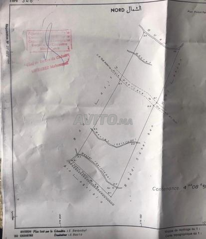أرض فلاحية 4 هكتار - 2