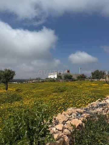 Terrain à vendre à Imsouane - 2