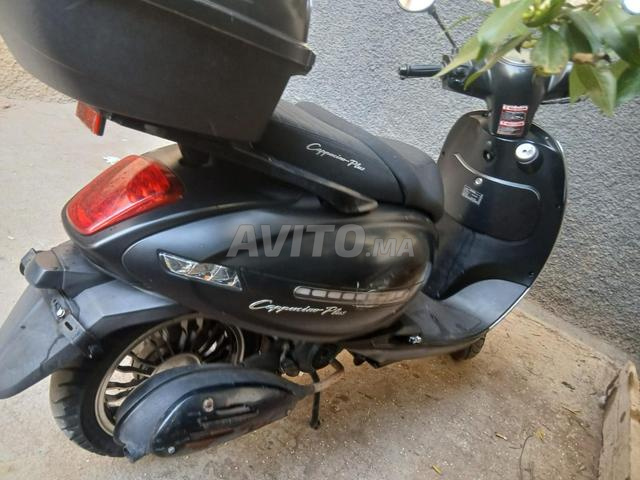 Cappuccino plus (NOIR)