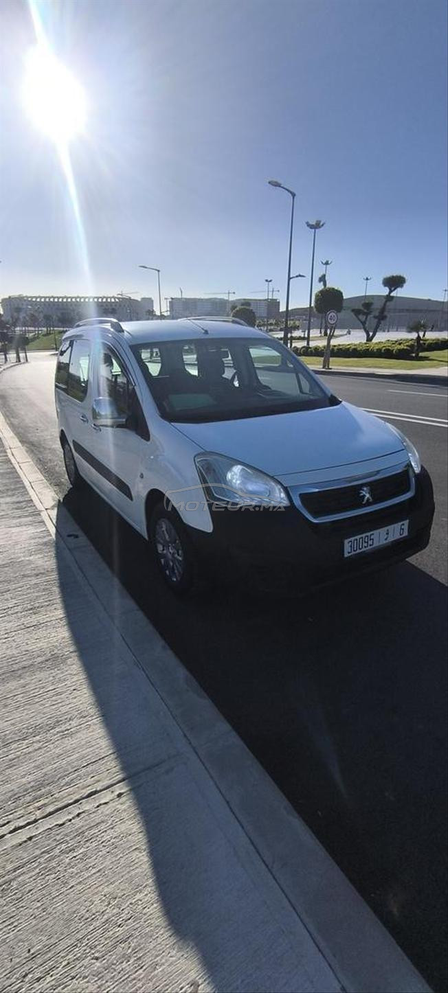 Peugeot tepee 