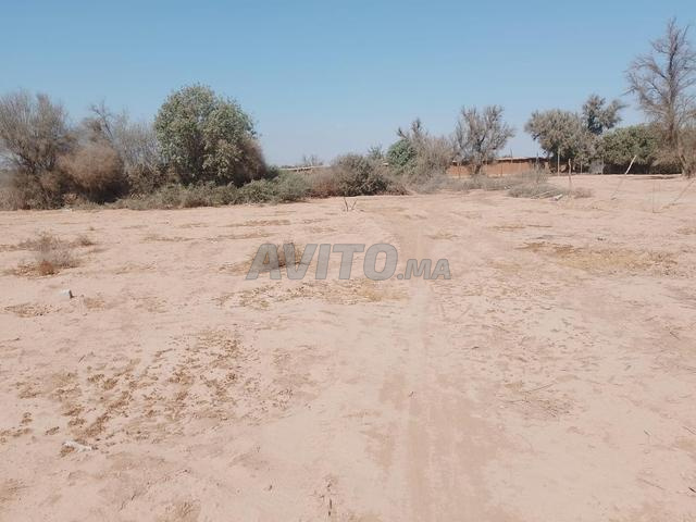 تارودانت الحوامر - 2