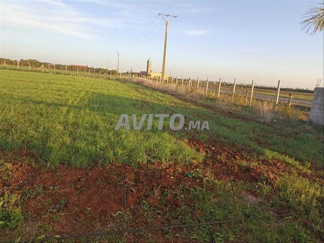 Terrains à Bir Jdid pour habitation, agriculture ou investissement