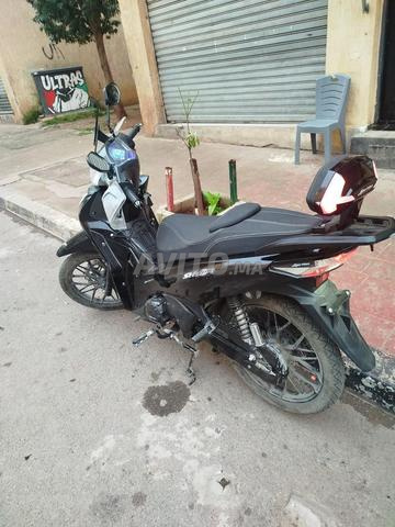 (sh lion moto) Moto encore propre