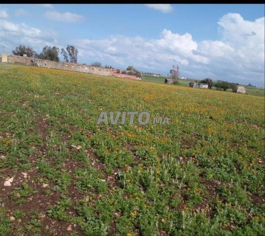 أراضٍ محفظة بشتوكة للسكن أو الفلاحة - 2