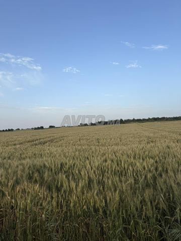 Terrain de 4000 m² emplacement magnifique à vendre