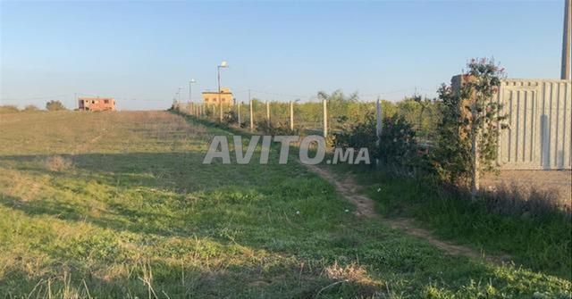أراضٍ محفظة بسيدي رحال بموقع استراتيجي - 2