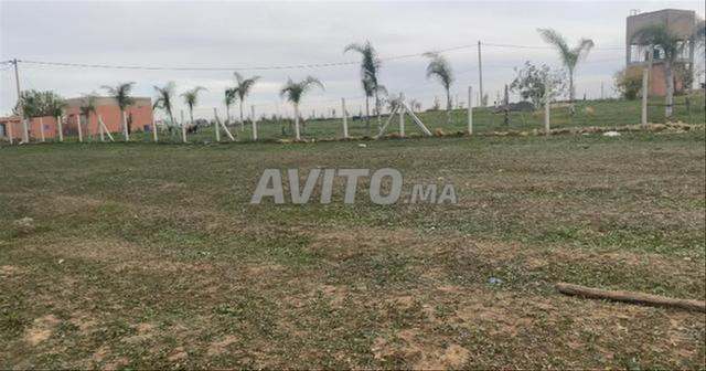 أراضي محفظة للبيع بشتوكة بمساحات مختلفة - 2