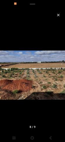 أرض هكتار للبيع في البسابس - 2