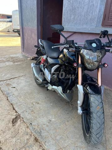 العرائش مرجان لافاك - 2