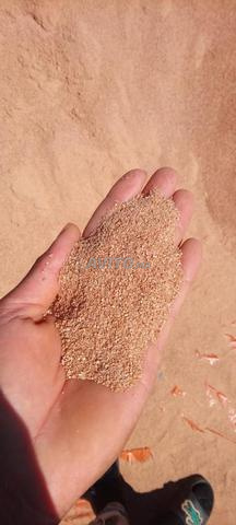 Silice sable de gazon - 2